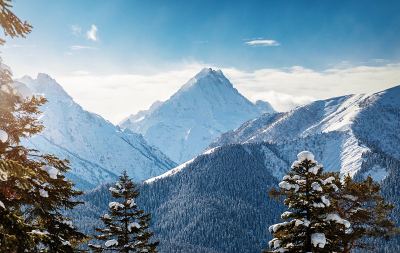 Зима в Архызе с проживанием в шале и активностями (индивидуально) – авторский тур