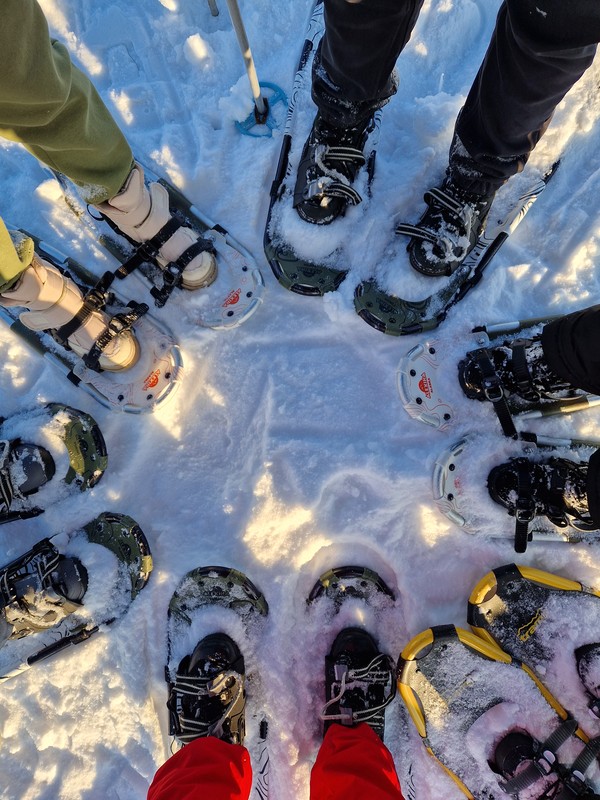 Активная прогулка на снегоступах в окрестностях Мурманска – групповая экскурсия