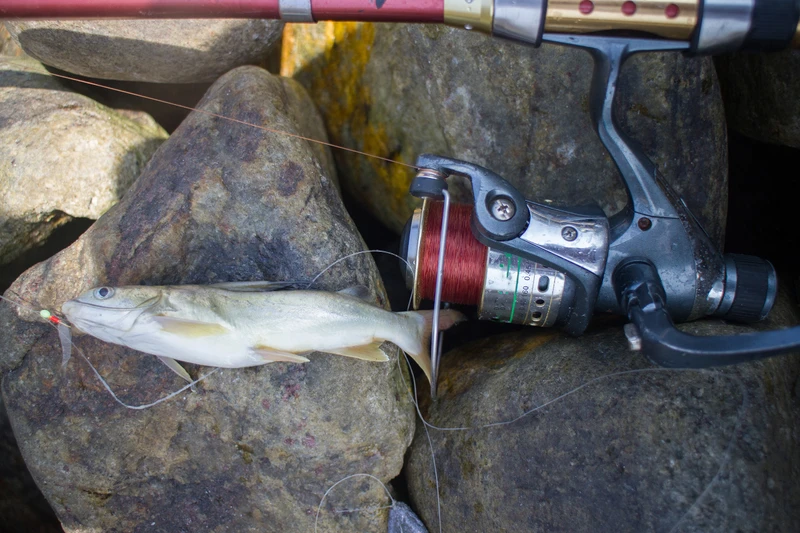 Профессиональная рыбалка в Гоа (всё включено) – индивидуальная экскурсия