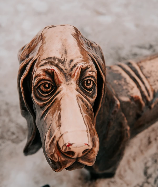 «Найди то, не знаю что...» — экскурсия по Костроме для детей 6-13 лет