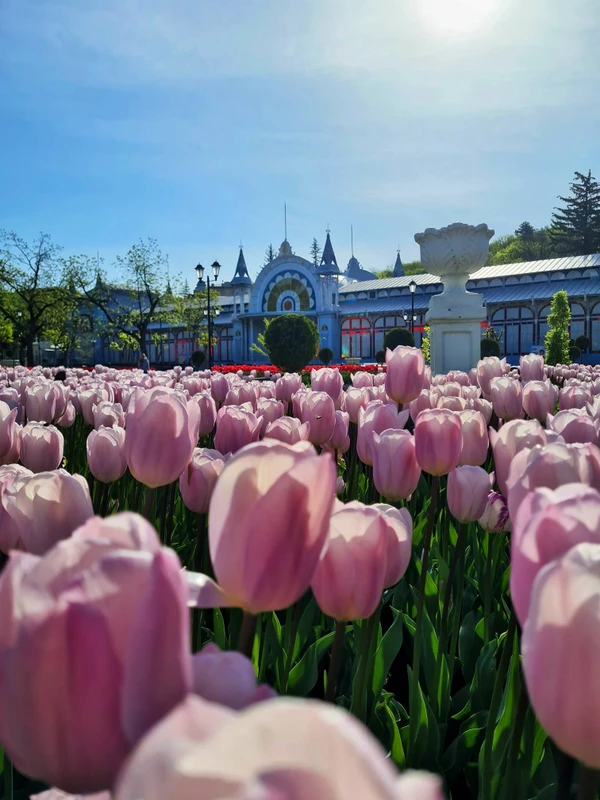 Четыре грани Кавказских Минеральных Вод – индивидуальная экскурсия