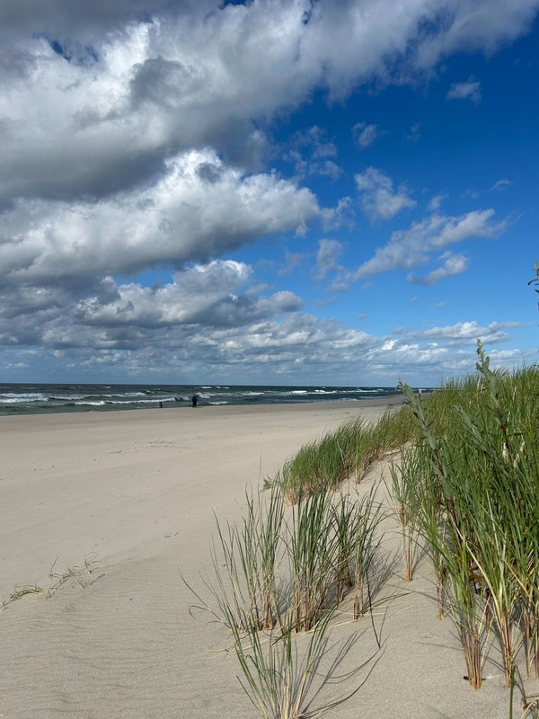 Куршская коса для детей и взрослых – индивидуальная экскурсия