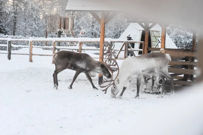 От заповедника до горного парка через резиденцию зимнего дедушки – авторский тур