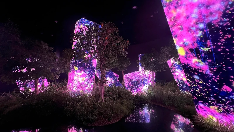 Билеты в teamLab Phenomena в Абу-Даби – индивидуальная экскурсия