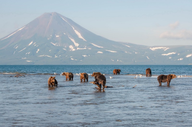 Увидеть душу Камчатки: джип-тур по неизведанным местам с круизом по Курильскому озеру (всё включено) – авторский тур