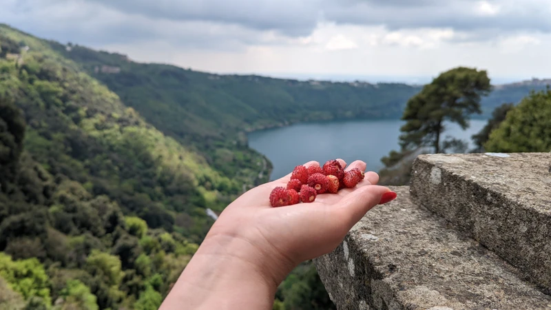 Кастель-Гандольфо, вулканические озёра и земляничный Неми — из Рима – индивидуальная экскурсия