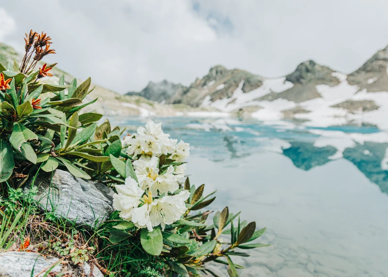 Пешком налегке: исследуем природные красоты Архыза – авторский тур
