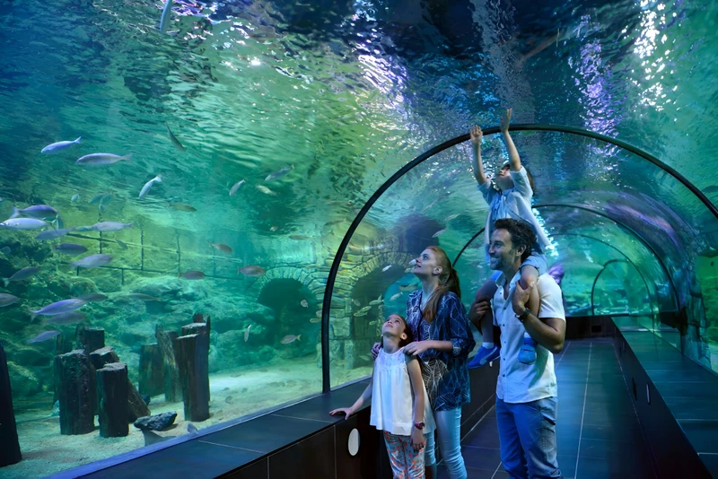 В гости к акулам и скатам: поездка в Istanbul Aquarium (трансфер и билеты включены) – групповая экскурсия