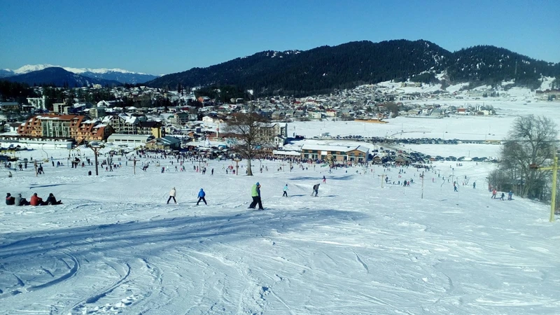 Боржоми + Bakuriani Ski Resort – групповая экскурсия