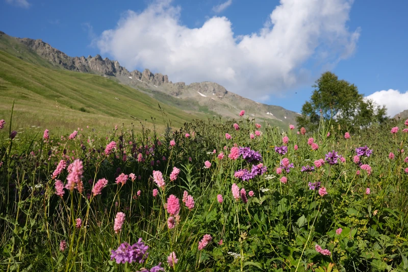 Экспресс-тур в Домбай с лёгкими треккингами: Алибекский водопад и Мусса-Ачитарские озёра – авторский тур