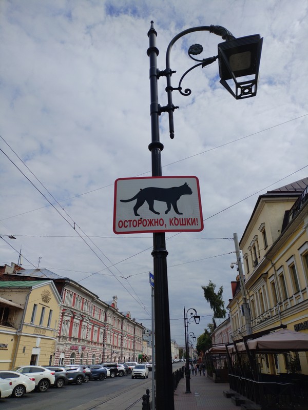 Нижегородские мурлыки – индивидуальная экскурсия