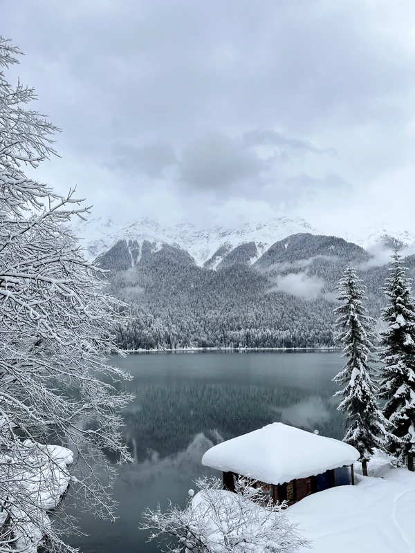 Старинная красота Абхазии в однодневном автотуре из Сочи – индивидуальная экскурсия