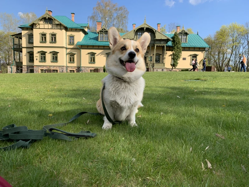 Минск исторический и современный – групповая экскурсия