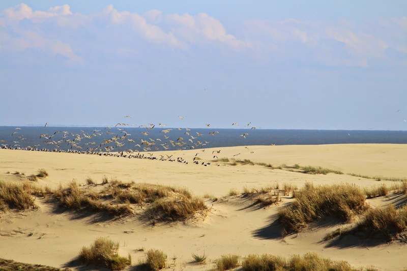 Дом куршей — Куршская коса – индивидуальная экскурсия