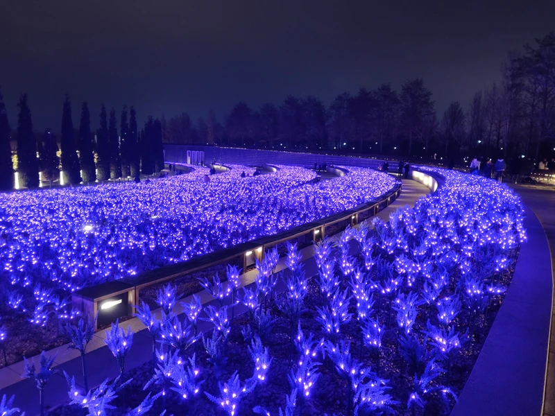 Парк Галицкого — пространства фантазии – индивидуальная экскурсия