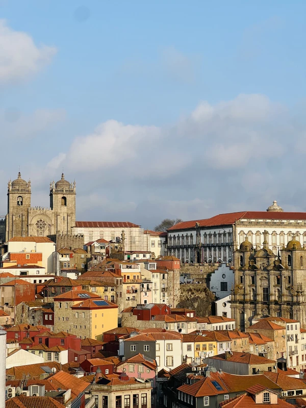 Порту на Tesla: автомобильно-пешеходная экскурсия