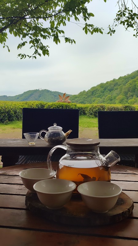 Чайное путешествие по Сочи — из Адлера – индивидуальная экскурсия