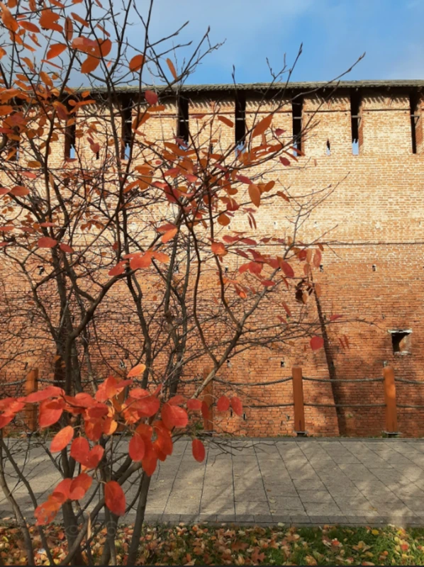 Экопрогулка в центре Коломны для детей и их родителей – индивидуальная экскурсия