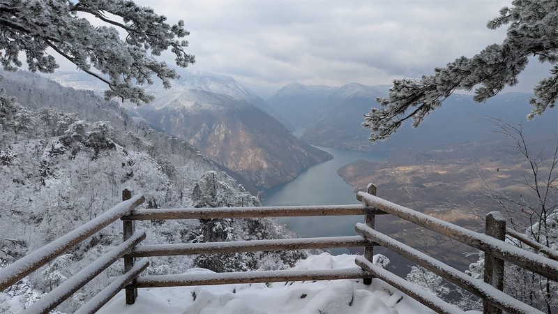 Путешествие в национальный парк «Тара» в мини-группе: колорит сербской природы – авторский тур