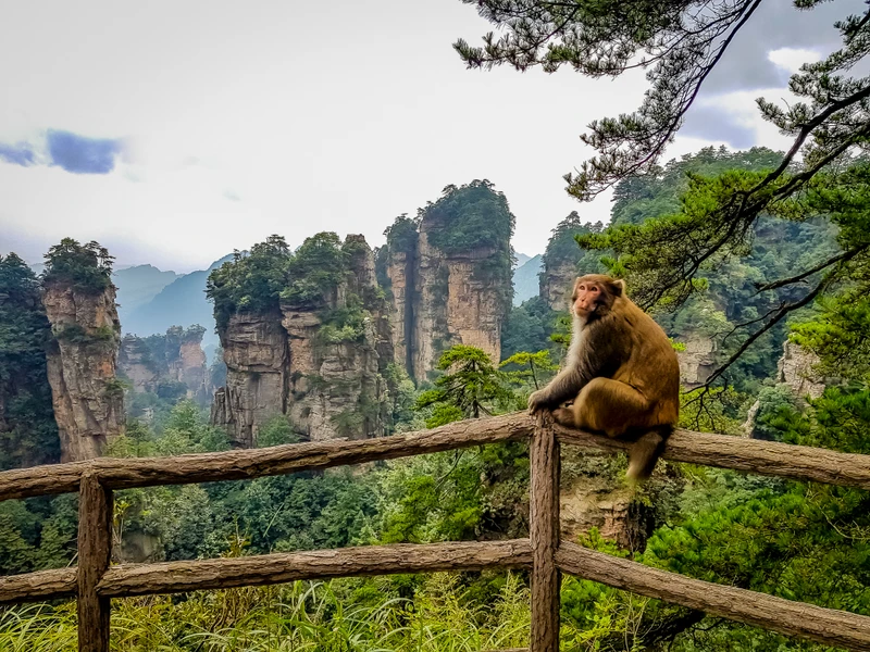 VIP-тур в Китай с отелями 5*, днём в Диснейленде, мастер-классами и водными прогулками – авторский тур