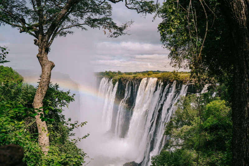 Большое приключение в ЮАР и Зимбабве: сафари, полёт на вертолёте, водопад Виктория и релакс у океана – авторский тур