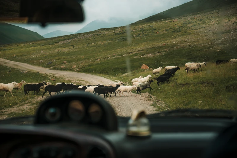Северная Осетия: от Фиагдона в Даргавс через три знаменитых ущелья – групповая экскурсия