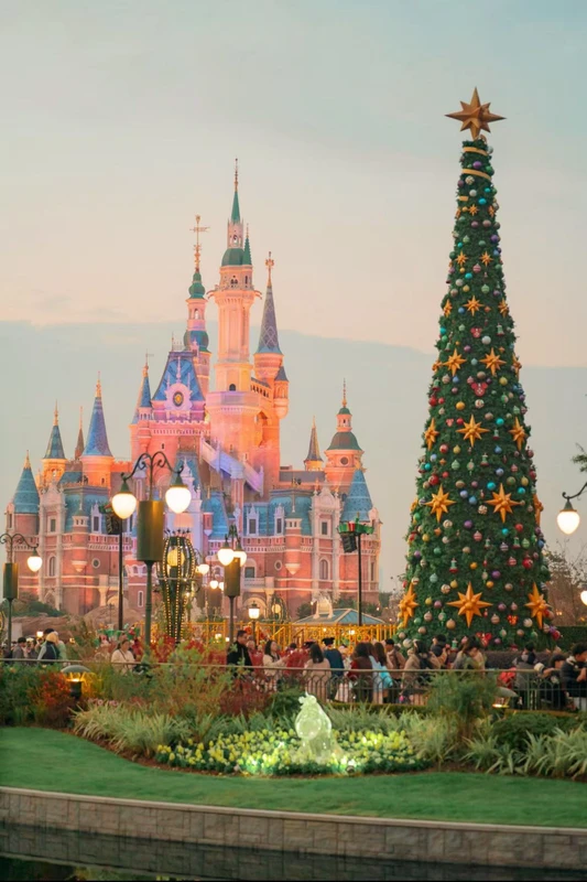 Входной билет в Диснейленд