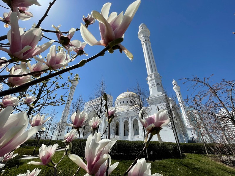 Влюбиться в Грозный за один день – групповая экскурсия