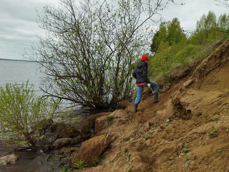 За окаменелостями музейного уровня в Ярославскую область с палеонтологом – авторский тур