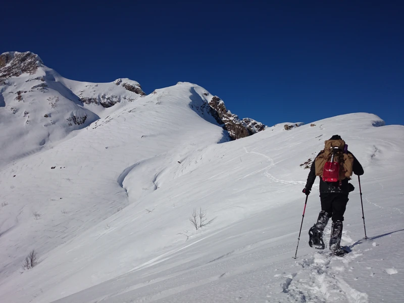 Поход на снегоступах по хребту Аибга – индивидуальная экскурсия