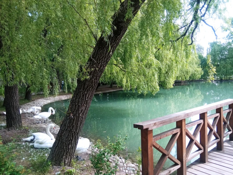 Владикавказ: архитектура, культура, городские истории – индивидуальная экскурсия