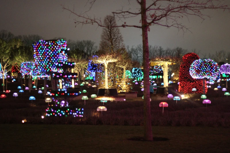 Парк «Краснодар». Достучаться до небес – индивидуальная экскурсия