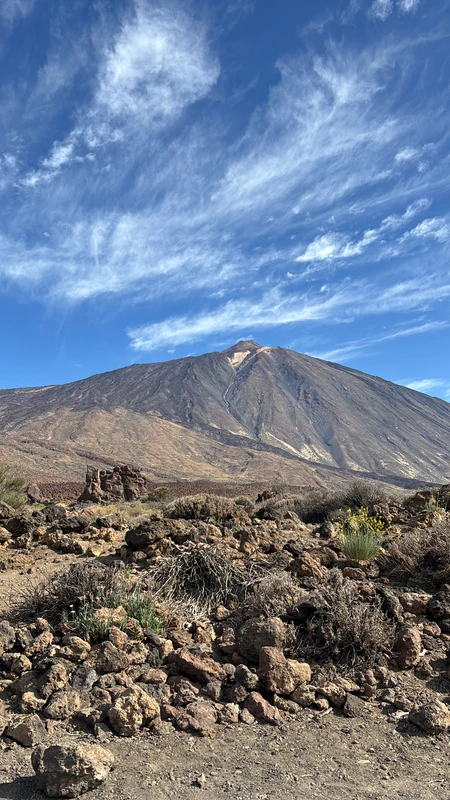 Лоро парк и вулкан Тейде: погружение в природу Тенерифе – индивидуальная экскурсия