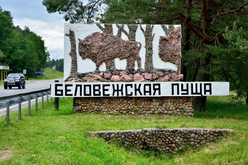 Экскурсионный трансфер из Бреста в Беловежскую пущу на микроавтобусе – индивидуальная экскурсия