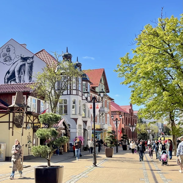 Куршская коса и Зеленоградск — идеальный день на Балтике – групповая экскурсия