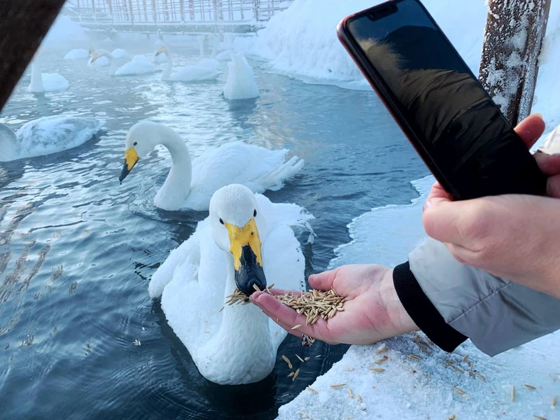 Этнотур по Алтаю в мини-группе: юрты, обычаи и заснеженная Сибирь – авторский тур