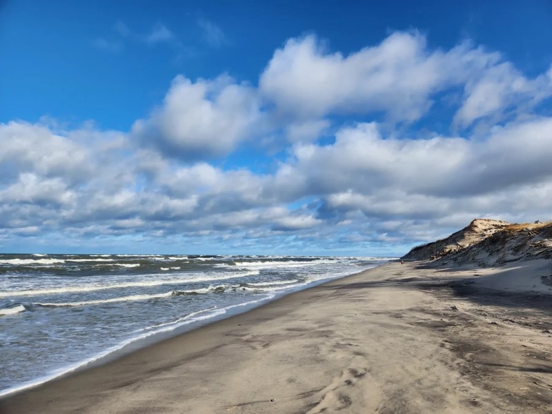 На загадочную Куршскую косу — из Калининграда – индивидуальная экскурсия