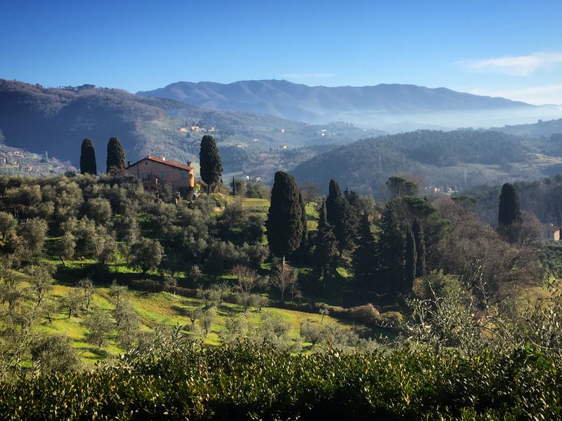 Натуральное вино и мост Дьявола в неизведанной Лукке – индивидуальная экскурсия