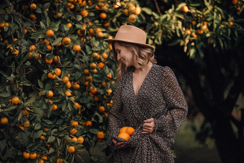 Красавица Рица, Гегский водопад и мандариновый сад: авторская джип-поездка из Сочи – групповая экскурсия