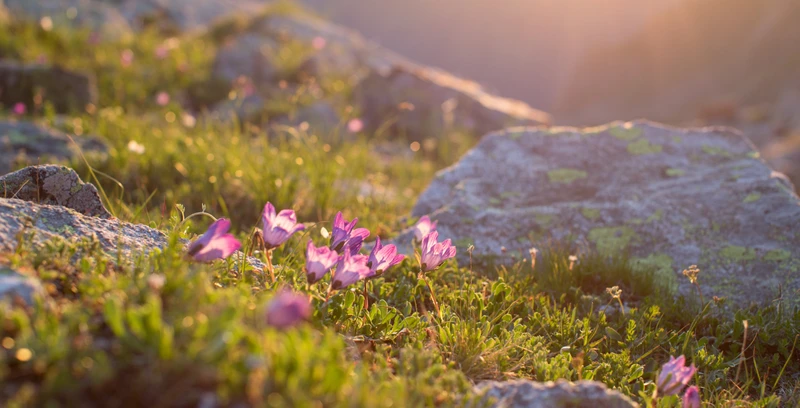 2 знаковых курорта Кавказа: индивидуальный джип-тур по Архызу и Домбаю (из Минеральных Вод) – авторский тур