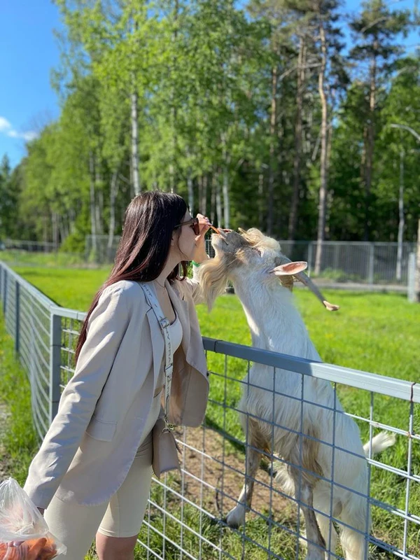 Карельский зоопарк и прогулка с видом на залив Кирьявалахти – индивидуальная экскурсия