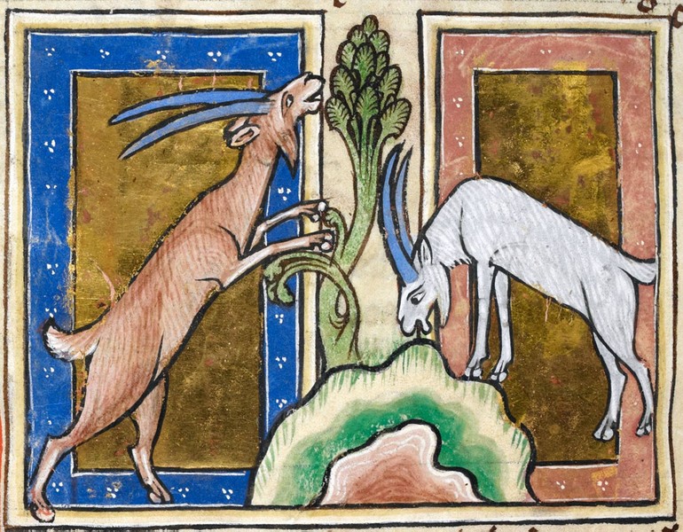 Архитектурный фотоквест в Москве «Бестиарий Чертолья» – индивидуальная экскурсия