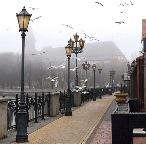 Ваш день в Калининграде или области: экскурсия-конструктор