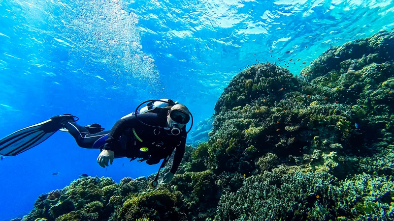 По Красному морю — на дайверской яхте – индивидуальная экскурсия