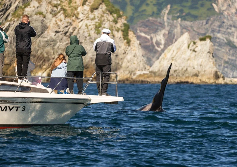 Путешествие к острову Старичков: морская рыбалка + крабовое сафари – групповая экскурсия