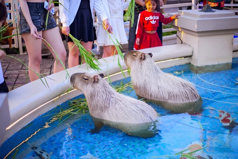 Бангкок с детьми: храмы и развлечения – индивидуальная экскурсия