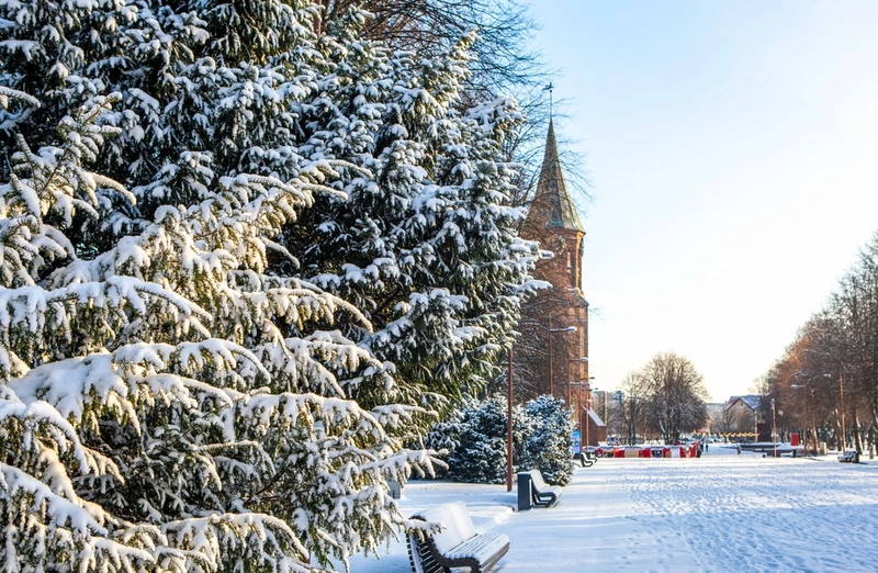 Индивидуальный тур-знакомство с Калининградом и областью: экскурсии, прогулки и концерт – авторский тур