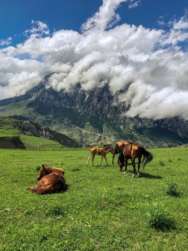 Из Пятигорска — в сказочный мир Урсдонского ущелья – индивидуальная экскурсия