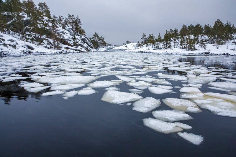 Природа и геология Ладожских шхер – индивидуальная экскурсия