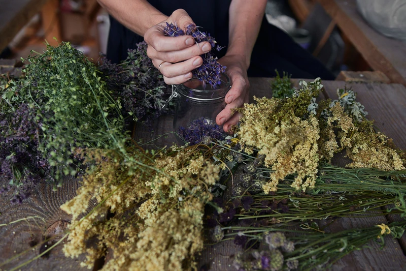 Травы в жизни сибиряка – индивидуальная экскурсия